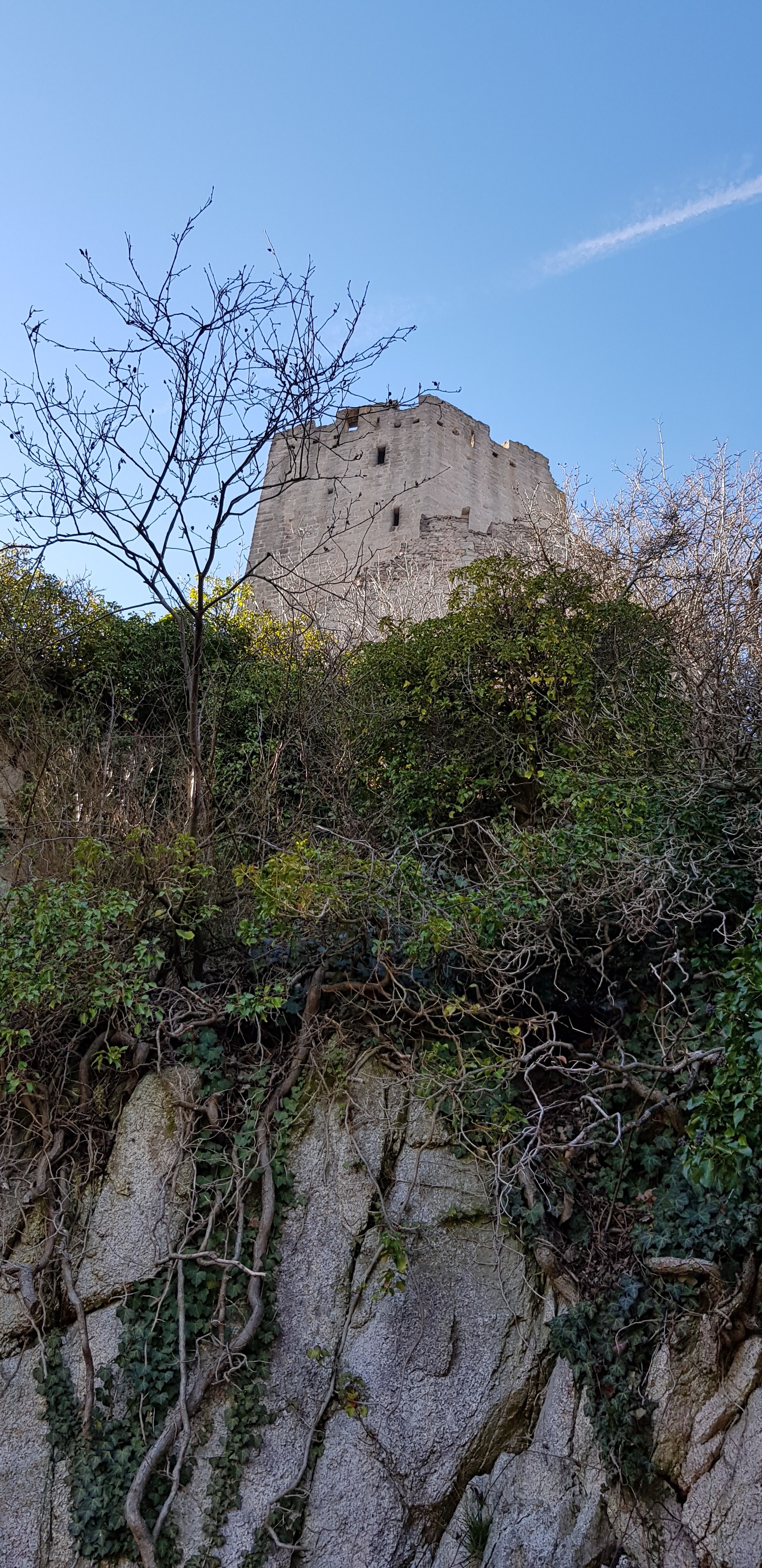Photo n° 7 de l'avis de Denis.� fait le 21/02/2019 à 07:01