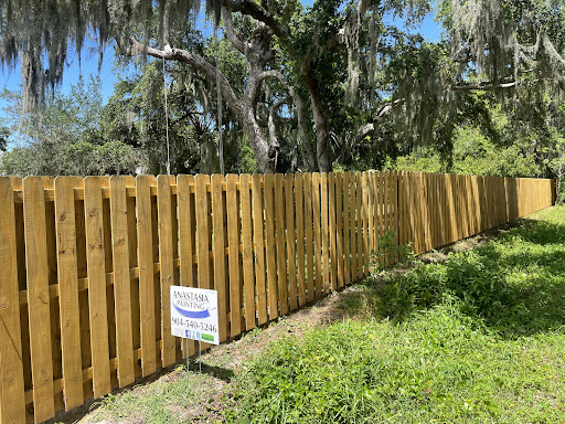 Painting «Anastasia Painting», reviews and photos, 1093 A1A Beach Blvd, St Augustine, FL 32080, USA