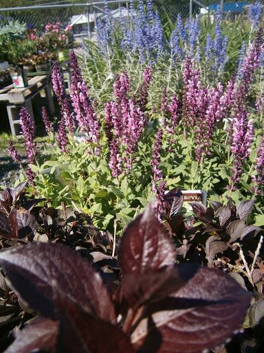 Pet Supply Store «CountryMax - Batavia», reviews and photos, 610 E Main St, Batavia, NY 14020, USA