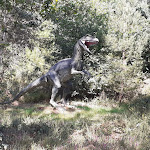 Photo n° 15 de l'avis de josie.H fait le 20/07/2020 à 15:27 pour Parc De Préhistoire De Bretagne à Malansac