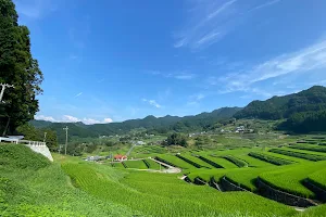 Onigi Rice Terraces image