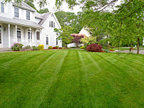 Alpha Organics - Photo 3 - Car repair in , Evansville