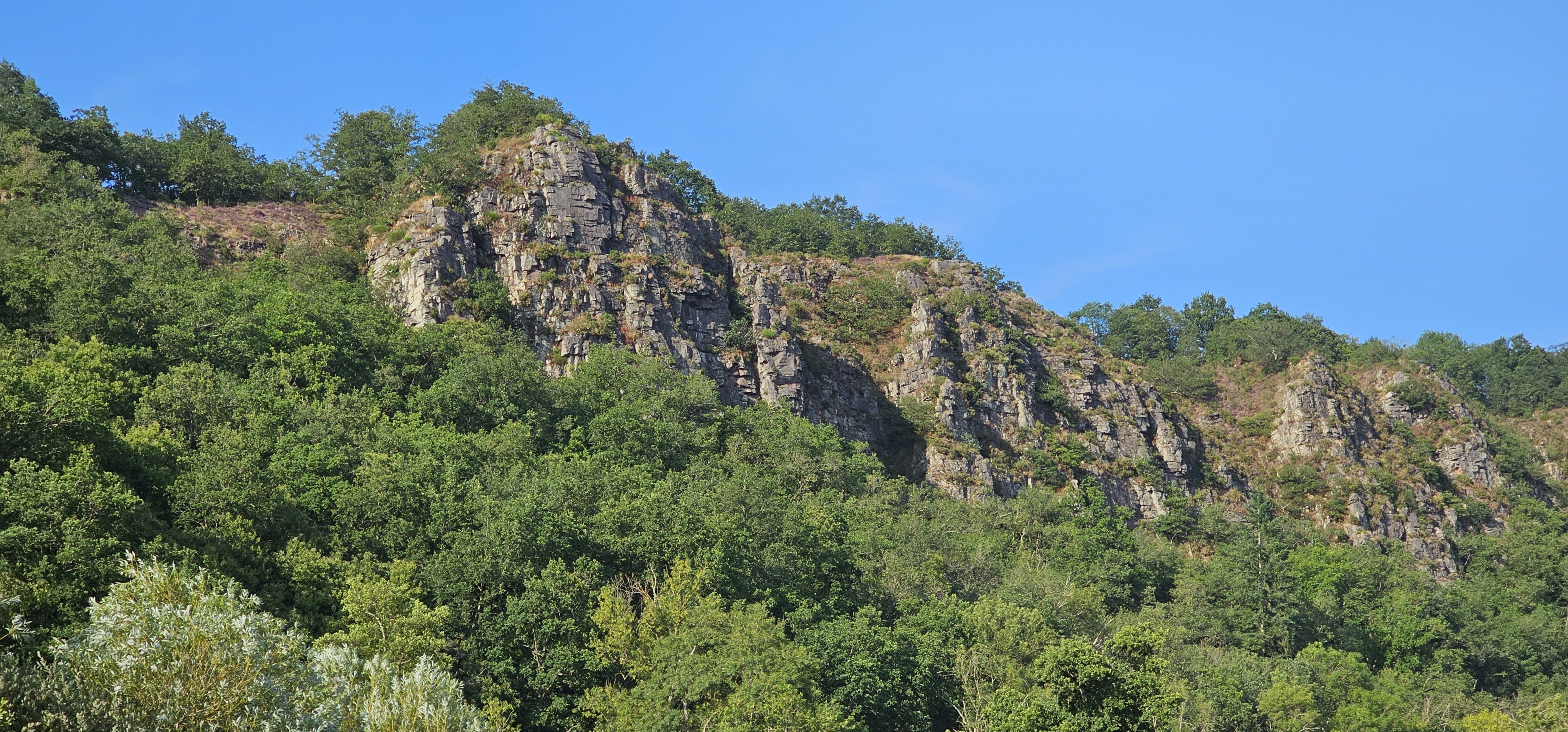 Photo n° 1 de l'avis de Guillaume.u fait le 28/07/2023 à 07:13