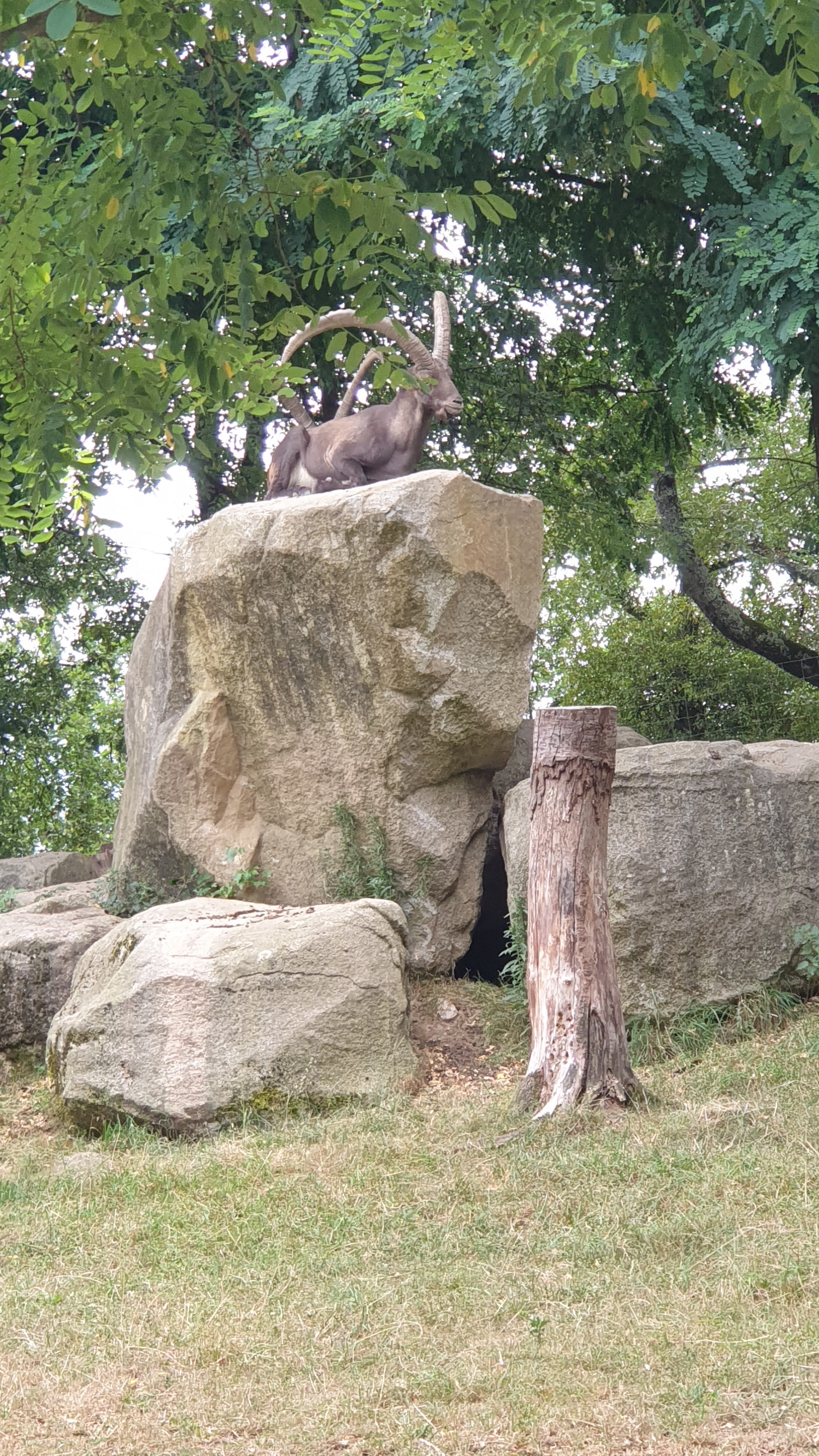 Photo n° 13 de l'avis de frédéric.e fait le 21/07/2022 à 14:28