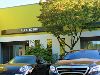 ALFA MOTORS LLC