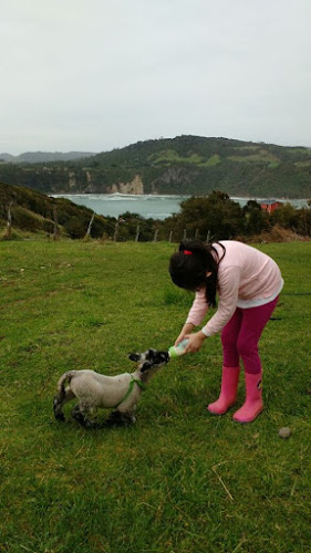 Agroturismo Ballena Azul - Ancud