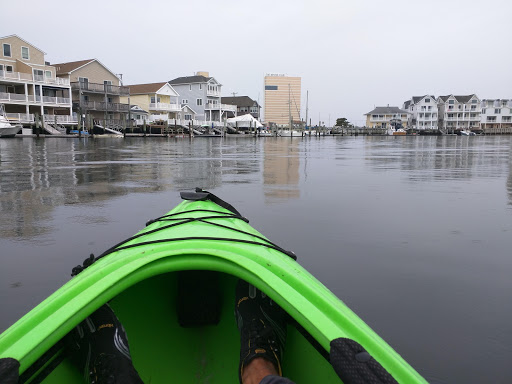 Aquarium «Atlantic City Aquarium», reviews and photos, 800 N New Hampshire Ave, Atlantic City, NJ 08401, USA