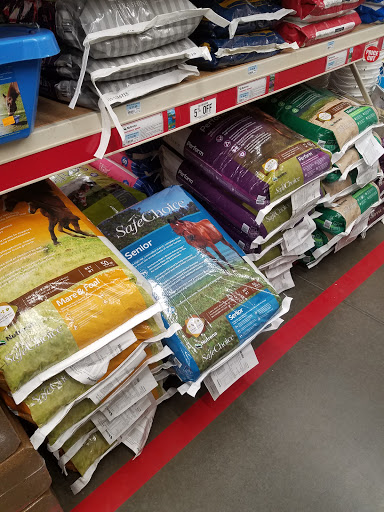 Home Improvement Store «Tractor Supply Co.», reviews and photos, 6922 FL-77, Southport, FL 32409, USA