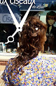 Salon de coiffure Aux ciseaux de Lise 44330 La Regrippière