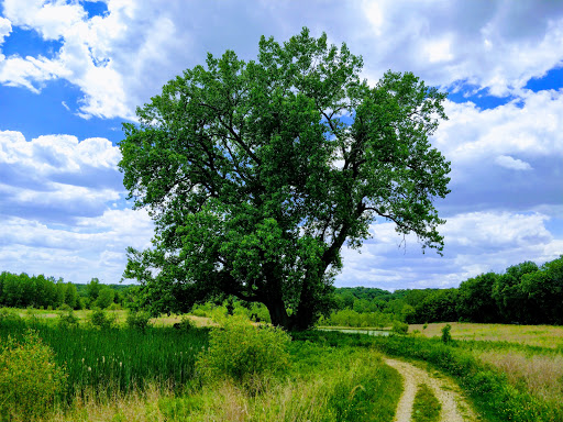 Bird Watching Area «Jelke Creek Bird Sanctuary», reviews and photos, Boncosky Rd, Dundee Township, IL 60118, USA