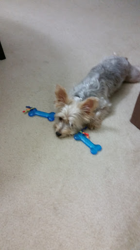 Pet Supply Store «PetSmart», reviews and photos, 4180 US-1, Monmouth Junction, NJ 08852, USA