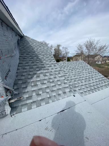 Roofing Contractor «The Roof Doctor», reviews and photos