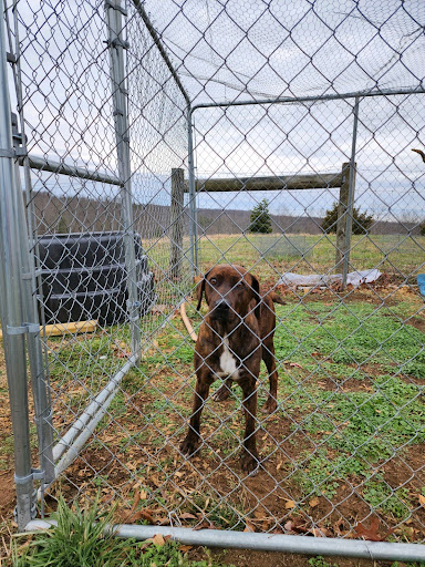 MoCo Mutts Rescue Center