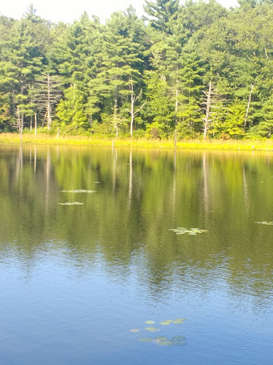 National Reserve «Assabet River National Wildlife Refuge», reviews and photos, 680 Hudson Road, Sudbury, MA 01776, USA