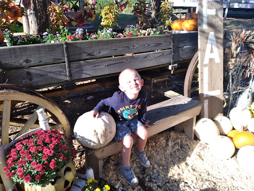 Christmas Tree Farm «Sleepy Hollow Farm & Escape Woods», reviews and photos, 628 Sleepy Hollow Rd, Powder Springs, GA 30127, USA