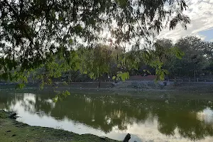 Gandhi Maidan Pond image