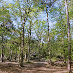 Photo n° 1 de l'avis de HENRI-GEORGES.I fait le 22/04/2018 à 14:36 pour Musée départemental des peintres de Barbizon à Barbizon