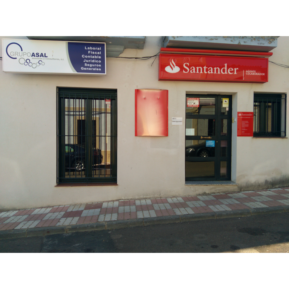 Grupo Asal Asesores y Consultores ( Trini )