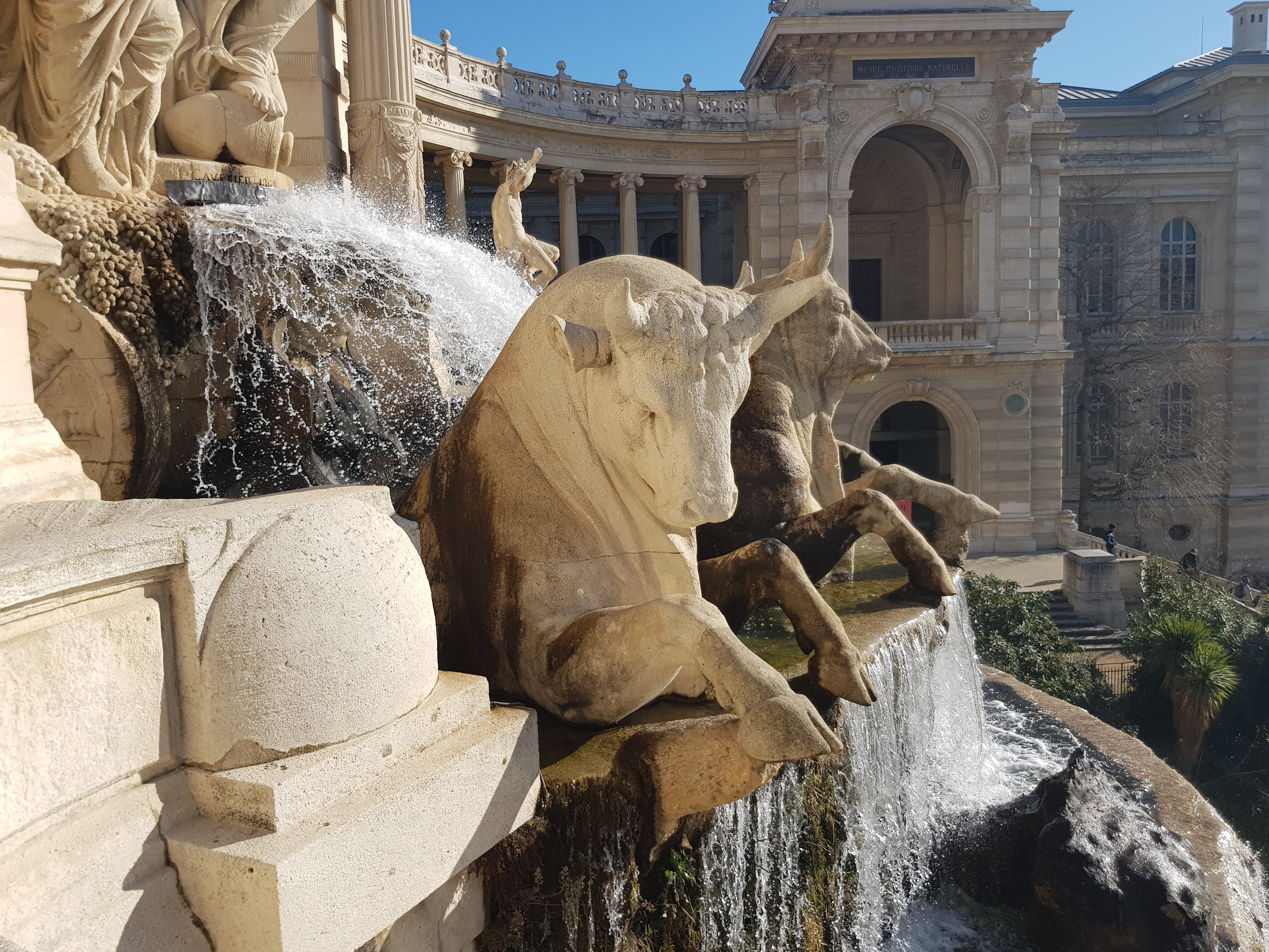 Photo n° 13 de l'avis de Krixtian.o fait le 13/02/2019 à 17:16
