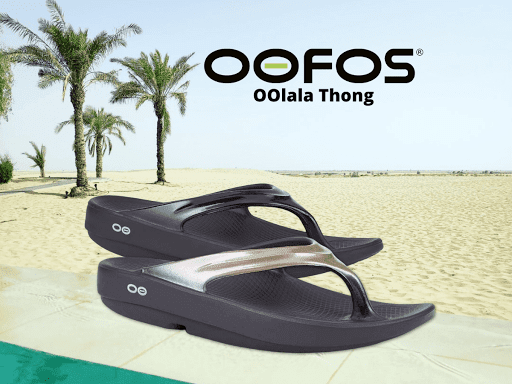 Sporting Goods Store «Omega Sports», reviews and photos, 414 S Stratford Rd, Winston-Salem, NC 27103, USA