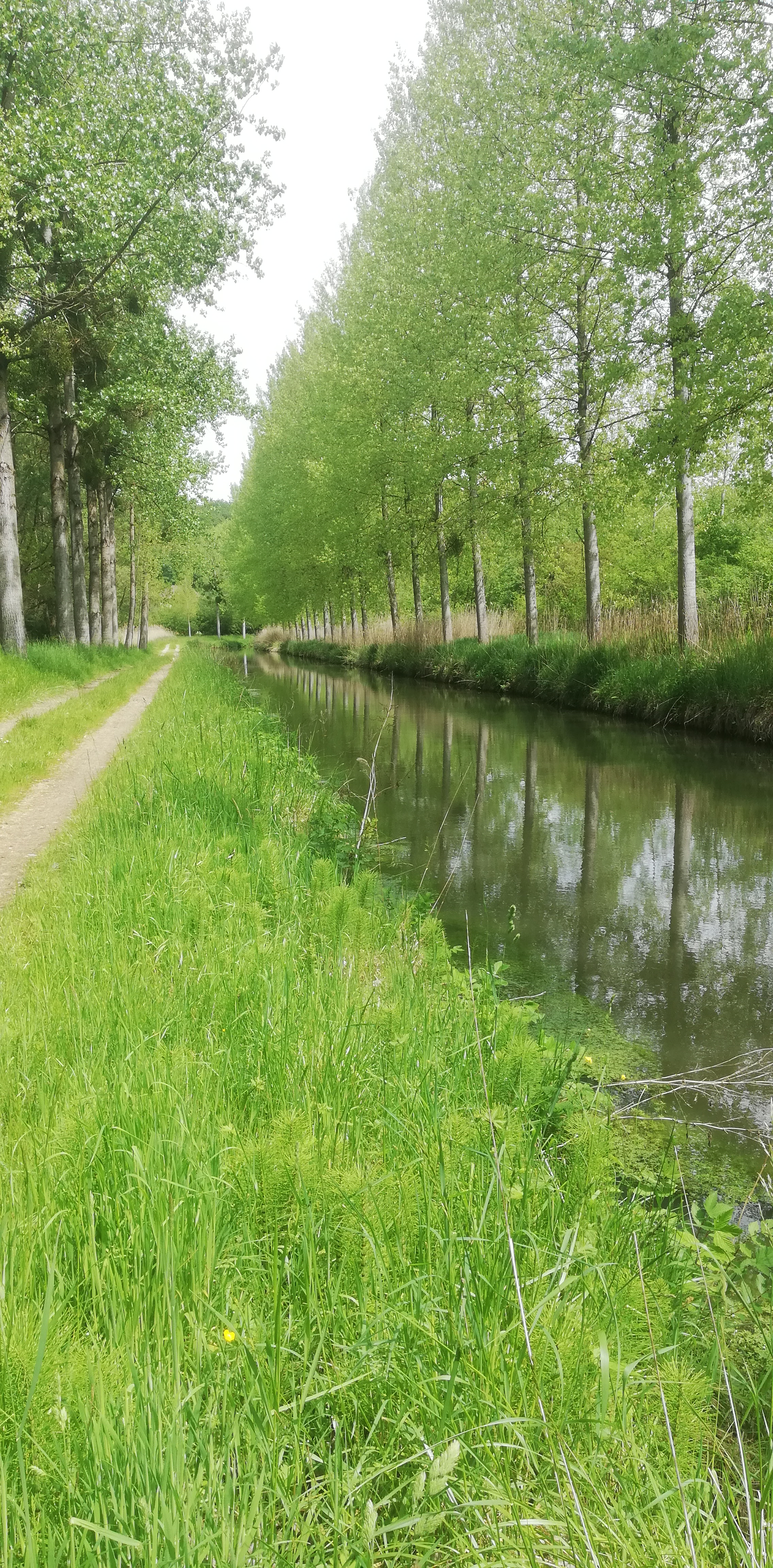 Photo n° 6 de l'avis de Franck.u fait le 18/05/2023 à 16:33