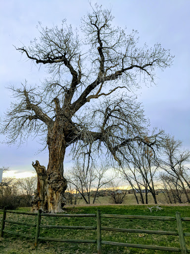 Park «Carpenter Park», reviews and photos, 3498 E 112th Ave, Thornton, CO 80233, USA