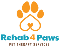 Rehab 4 Paws - Photo 5 - Car repair in , San Juan