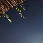 Photo n°1 de l'avis de Franco.a fait le 21/08/2022 à 06:49 sur le  Terrazza Due Golfi à Ercolano