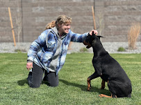 My Best Pal Dog Training