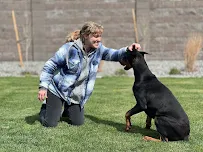 My Best Pal Dog Training - Car repair in , Kennewick - Rated 5.0/5