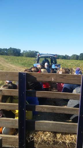 Farm «Bottom View Farm», reviews and photos, 185 Wilkerson Ln, Portland, TN 37148, USA