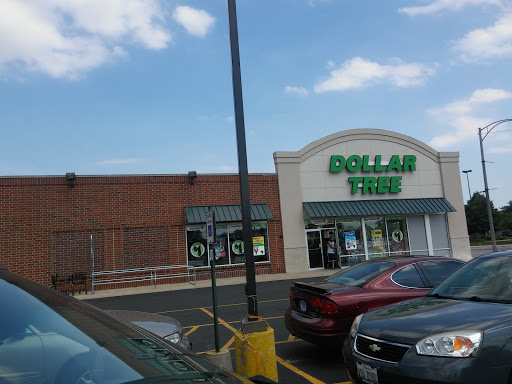 Dollar Store «Dollar Tree», reviews and photos, 7709 W Roosevelt Rd, Forest Park, IL 60130, USA