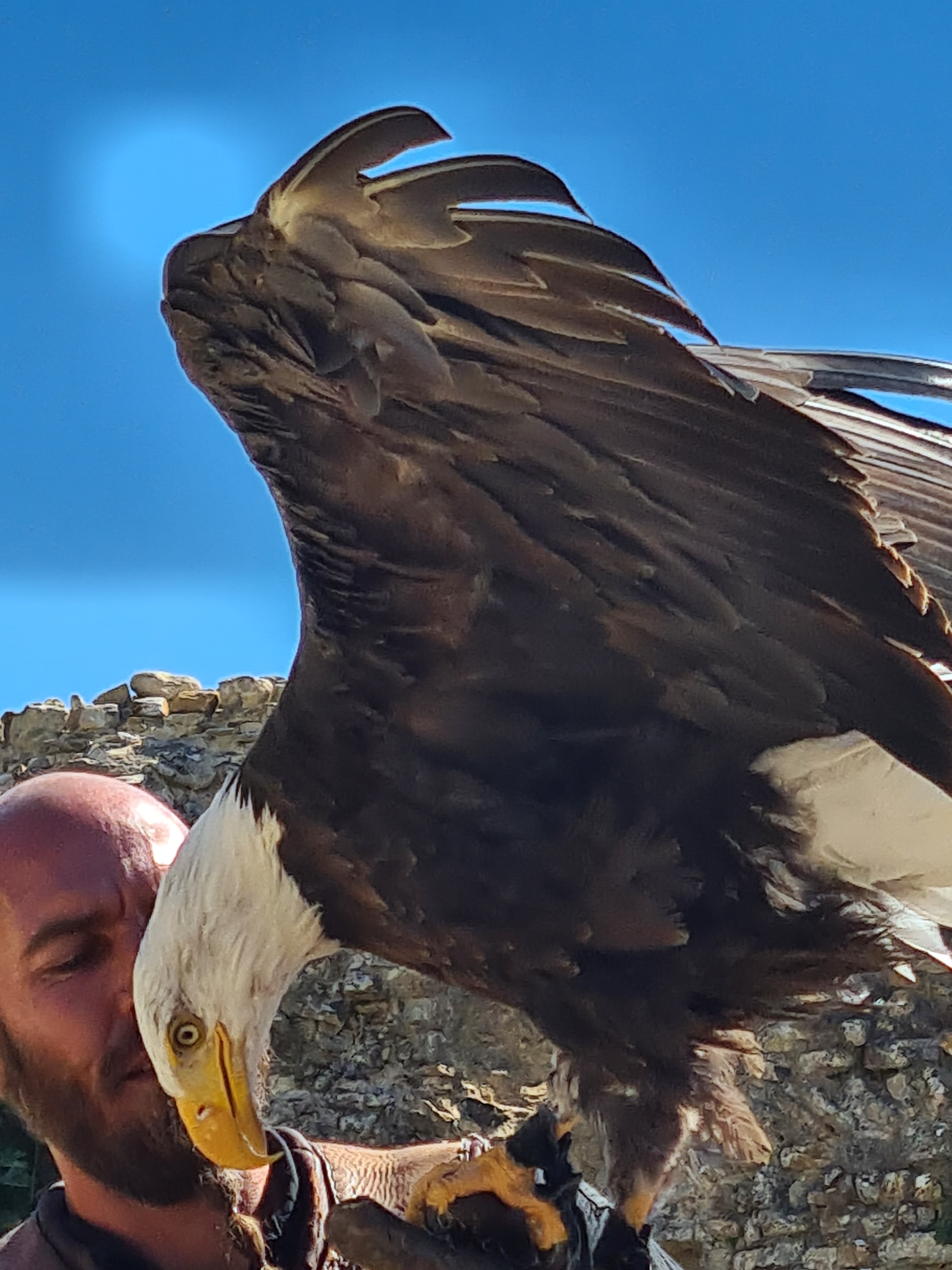 Photo n° 6 de l'avis de Beatrice.o fait le 30/08/2022 à 07:54