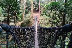 Suspension Bridge, Hutan Pendidikan Bukit Gasing image