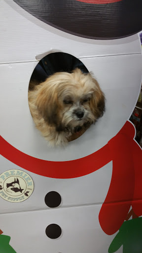 Pet Supply Store «Premier Pet Supply», reviews and photos, 15399 Merriman Rd, Livonia, MI 48154, USA