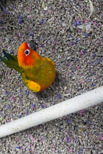 Forever ME photography LLC - Photo 9 - Car repair in , Independence