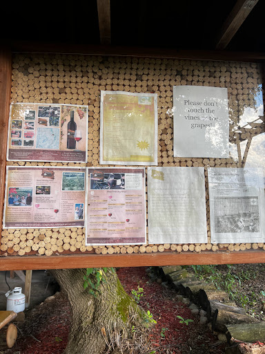 Winery «Wild Mountain Winery», reviews and photos, 16906 Wild Mountain Rd, Taylors Falls, MN 55084, USA