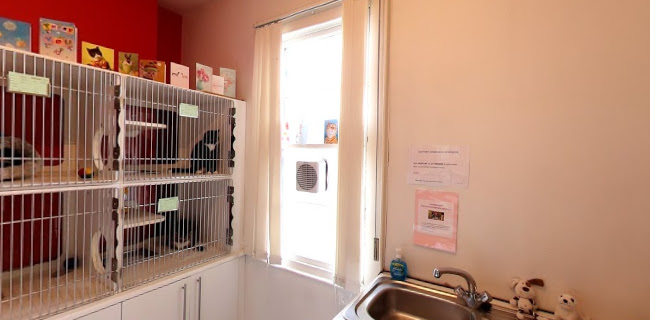 Reviews of Braemar Veterinary Clinic in Belfast - Veterinarian