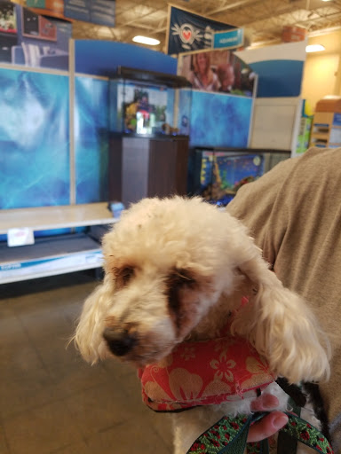 Pet Supply Store «PetSmart», reviews and photos, 5810 Antioch Rd, Merriam, KS 66202, USA