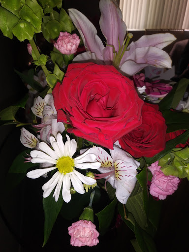 Florist «The Plant Gallery & Florist», reviews and photos, 1611 Crenshaw Blvd, Torrance, CA 90501, USA