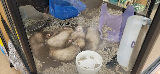 Pet Supply Store «Petco Animal Supplies», reviews and photos, 9311 192nd Ave E, Bonney Lake, WA 98391, USA