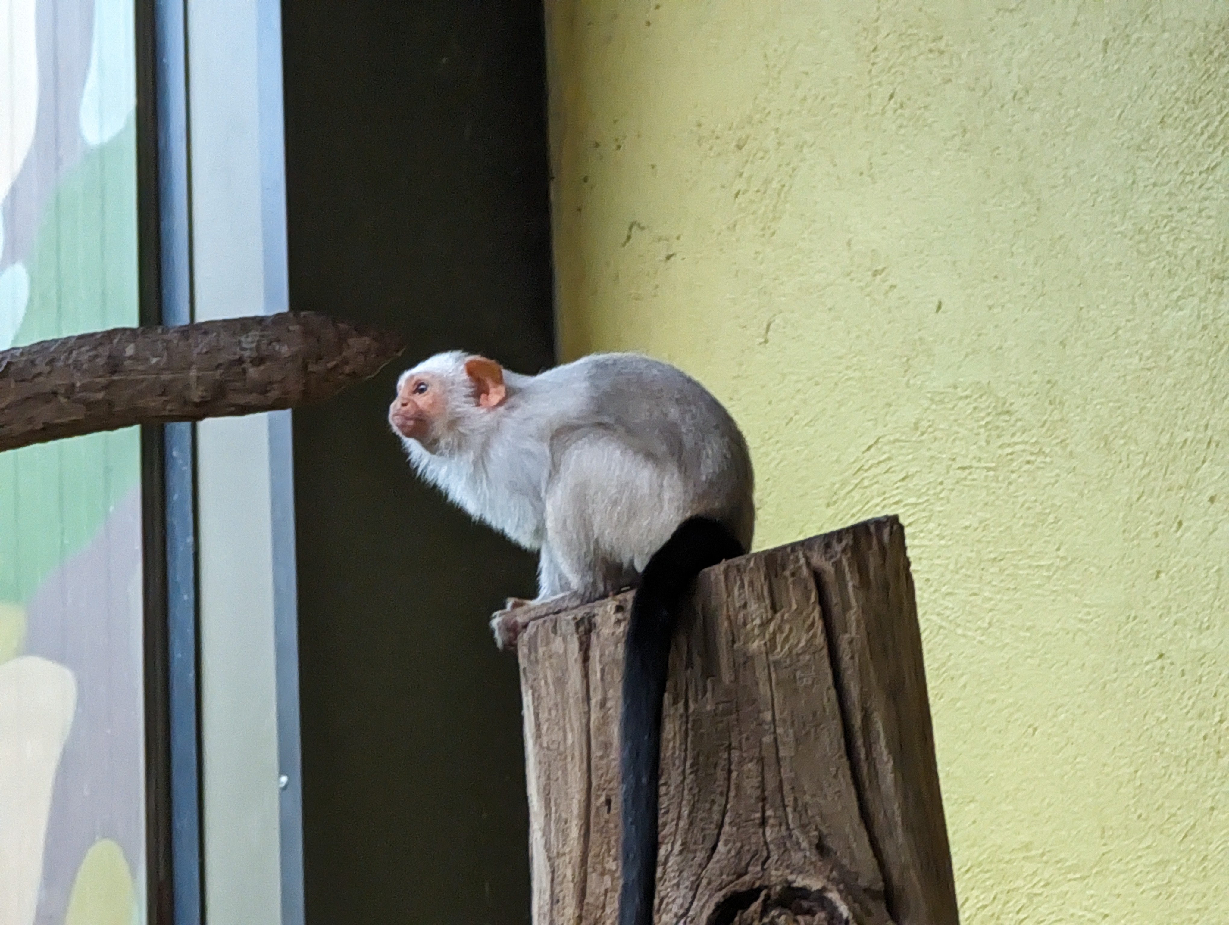 Photo n° 2 de l'avis de Thibaud.l fait le 10/10/2023 à 07:10