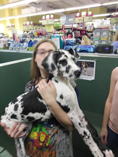 Pet Store «Petland Montgomery», reviews and photos, 7127 Eastchase Pkwy, Montgomery, AL 36117, USA