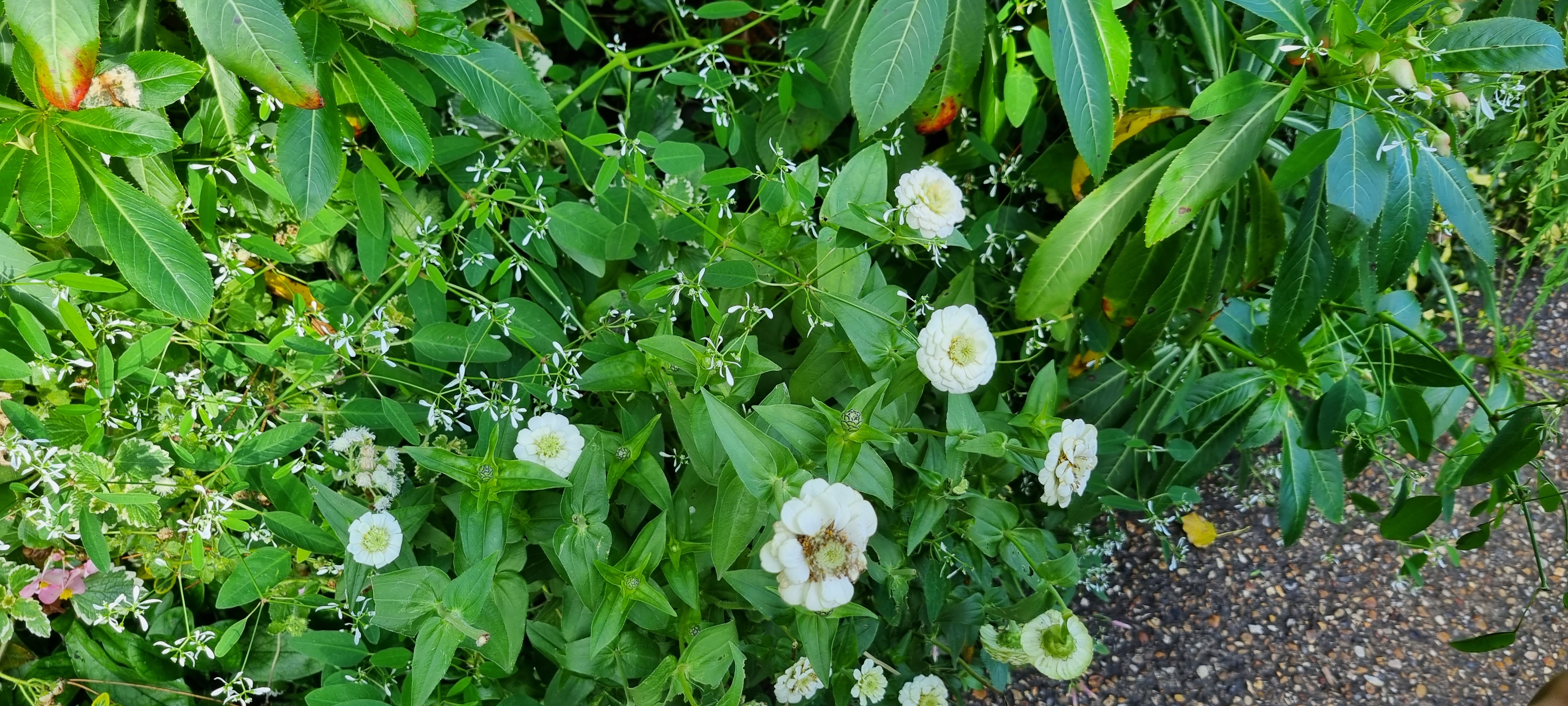 Photo n° 24 de l'avis de lemagicien40. fait le 03/11/2023 à 07:28