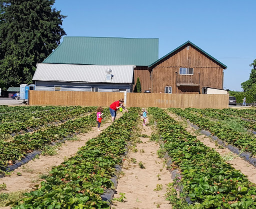 Produce Market «Boones Ferry Berry Farms», reviews and photos, 19602 NE Boones Ferry Rd, Hubbard, OR 97032, USA