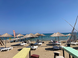 Salami Beach'in fotoğrafı ve yerleşim