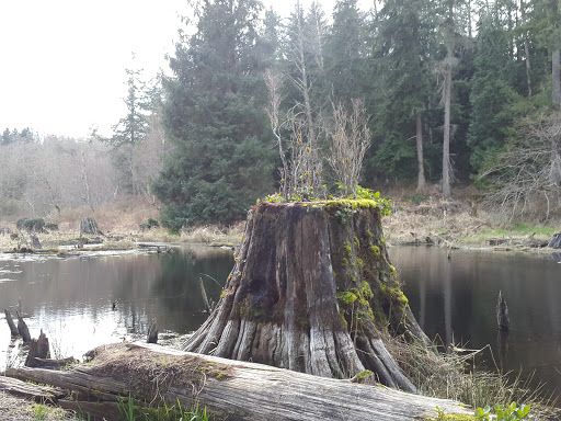 Park «Lord Hill Park», reviews and photos, 12921 150th St SE, Snohomish, WA 98290, USA