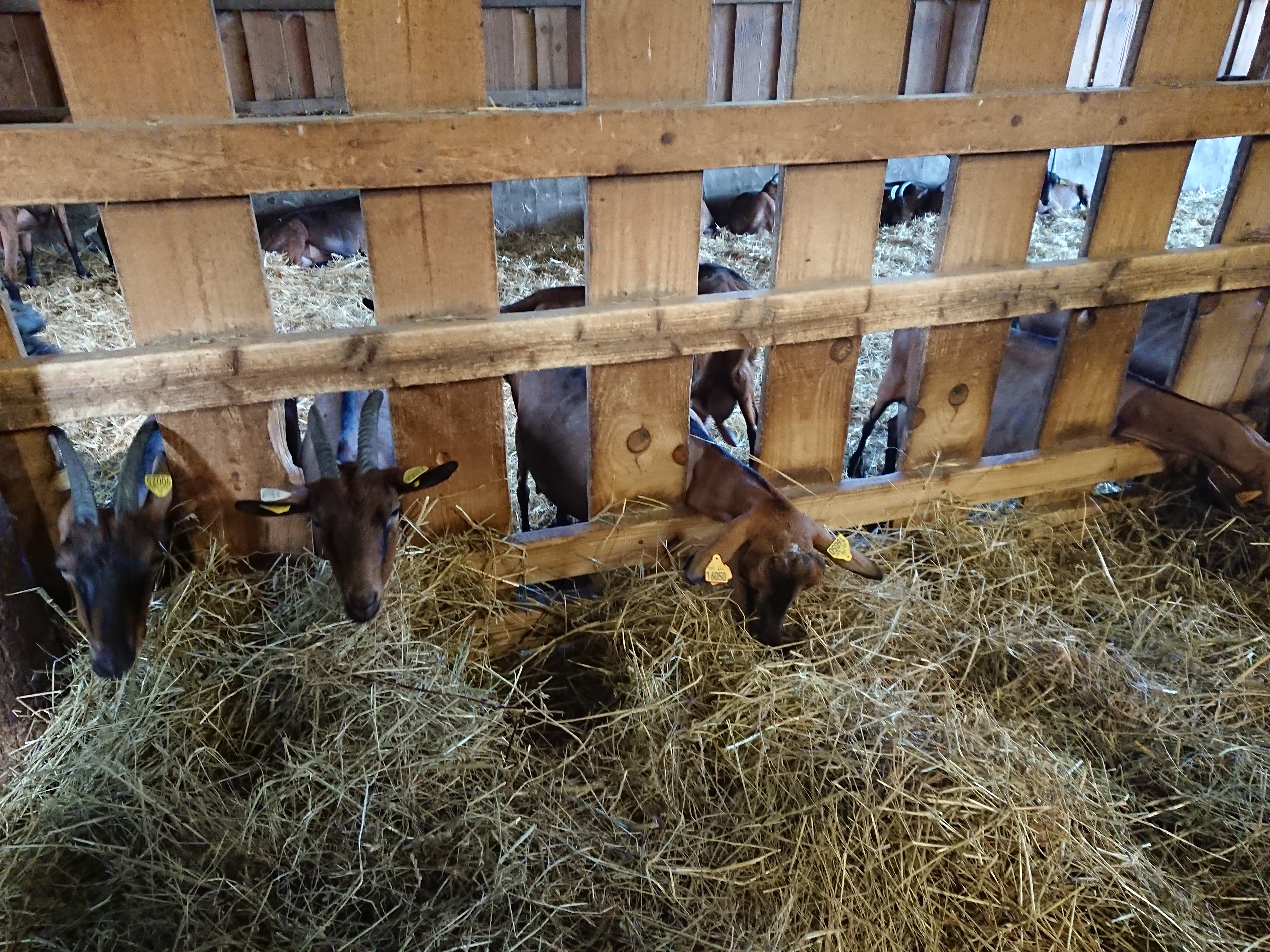Photo n° 1 de l'avis de Gigi.o fait le 26/06/2020 à 17:11