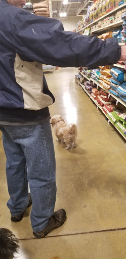 Pet Supply Store «PetSmart», reviews and photos, 130 Junction Drive, Glen Carbon, IL 62034, USA
