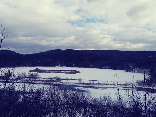 Environmental Organization «VINS Nature Center», reviews and photos, 6565 Woodstock Rd, Quechee, VT 05059, USA